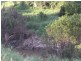 Cedar Grove QLD 4285