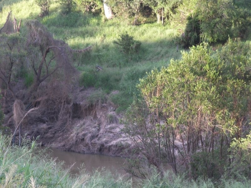 Cedar Grove QLD 4285