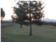 Kerry QLD 4285