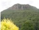 Lamington QLD 4285
