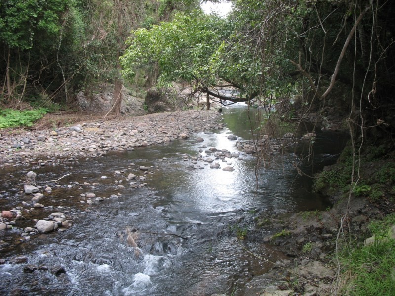 Lamington QLD 4285
