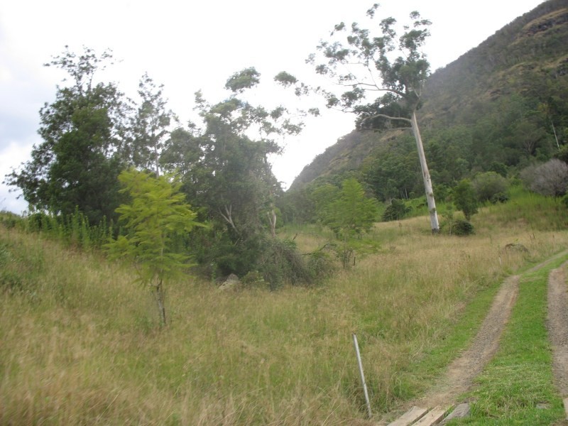 Lamington QLD 4285