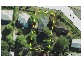 44 Kokoda St, Beenleigh QLD 4207