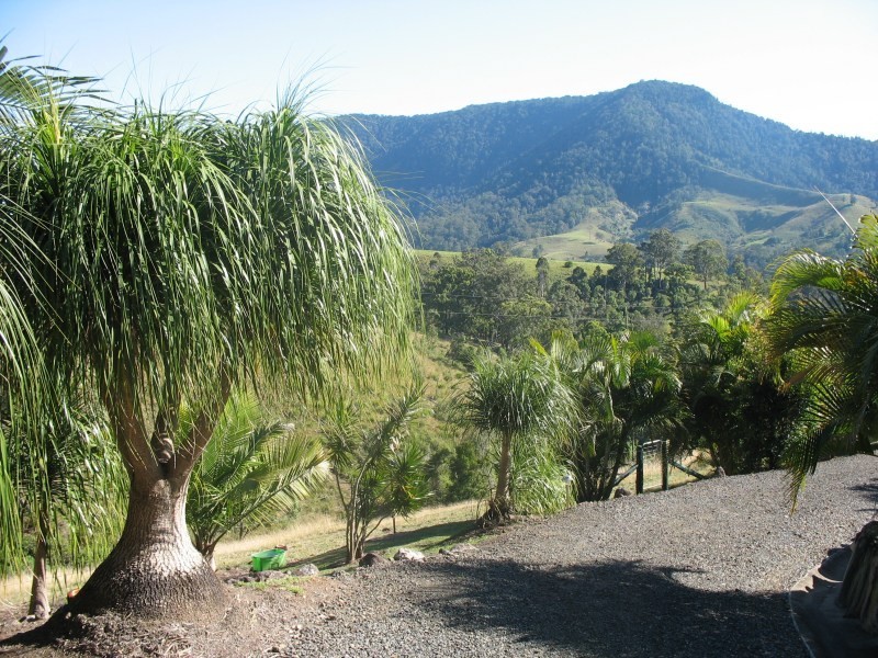 Running Creek QLD 4287