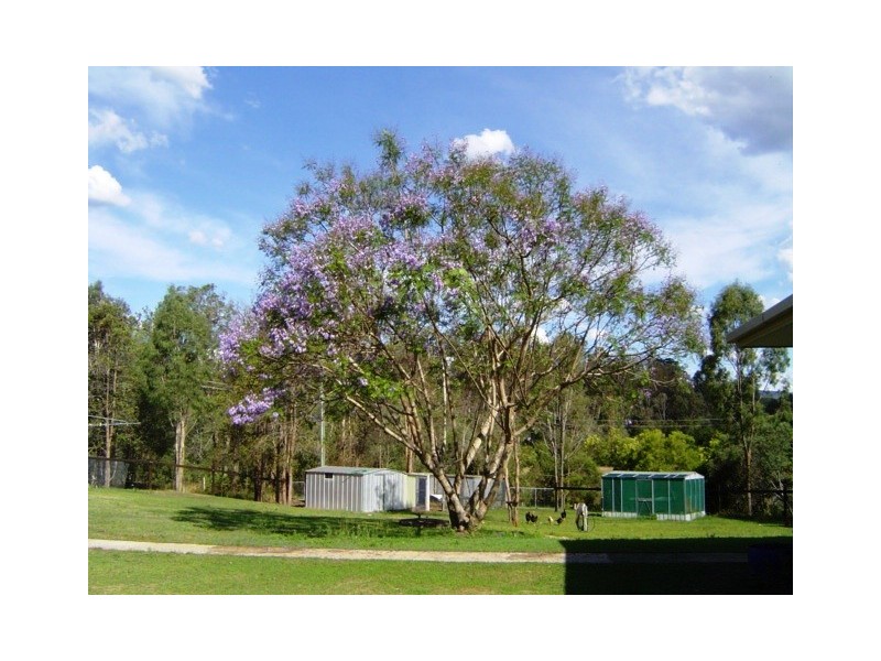 Birnam QLD 4285
