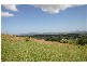 Veresdale Scrub QLD 4285