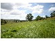 Veresdale Scrub QLD 4285