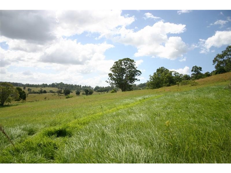 Veresdale Scrub QLD 4285