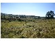 Veresdale Scrub QLD 4285