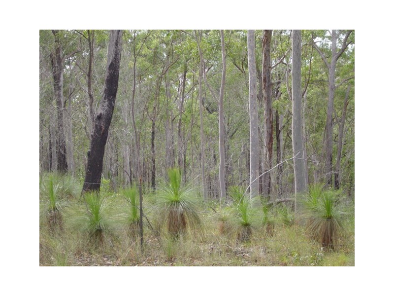 Tamborine QLD 4270