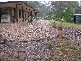 Tamborine QLD 4270