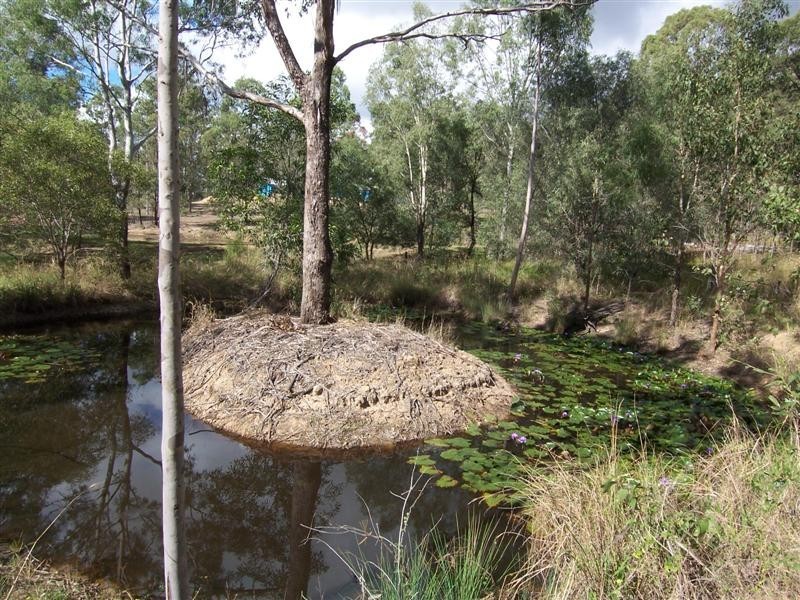 Cedar Grove QLD 4285