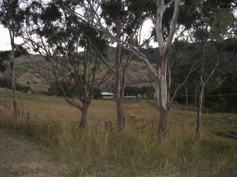 Running Creek QLD 4287