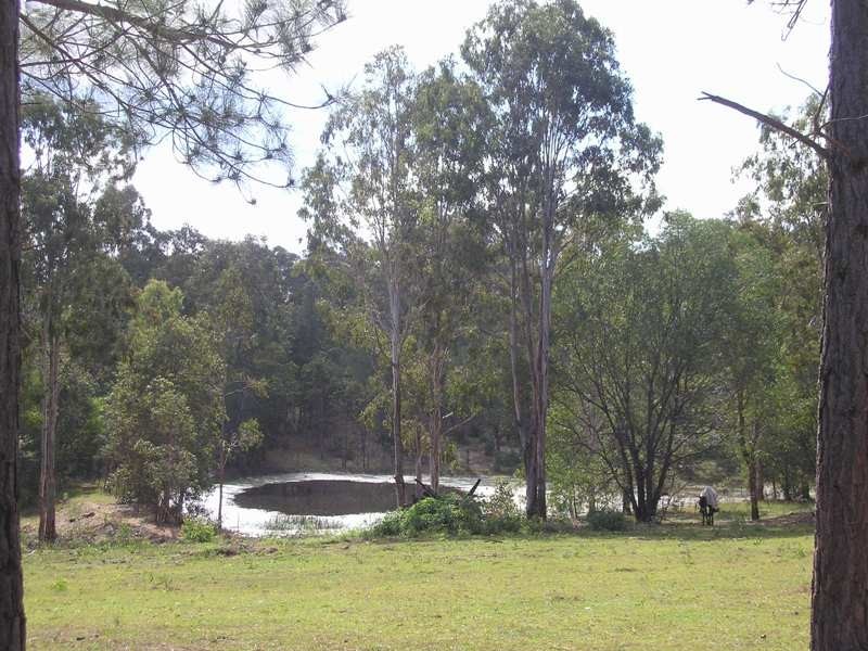 60 Palomino Road, Tamborine QLD 4270