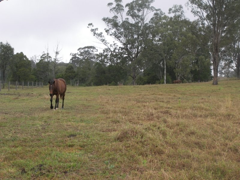 Veresdale QLD 4285