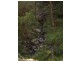 Tamborine QLD 4270