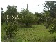 Jimboomba QLD 4280
