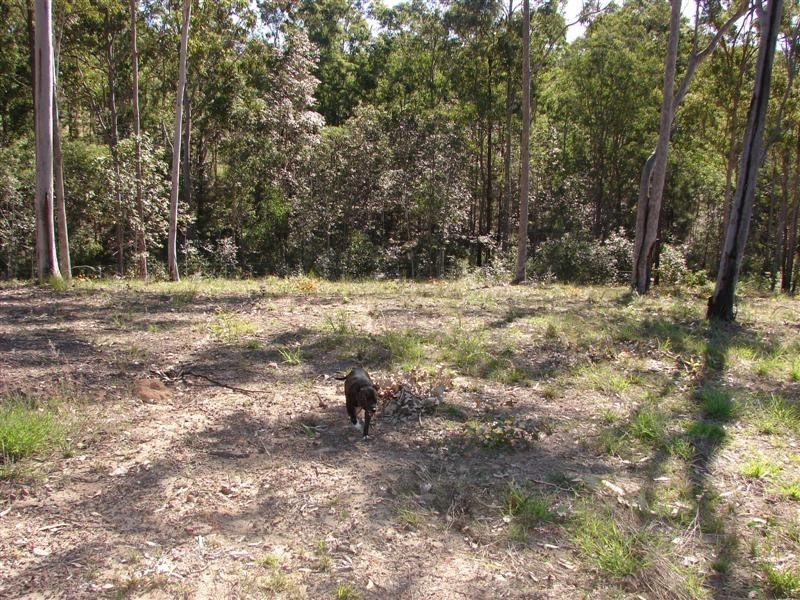 184 Spinebill Drive, Greenbank QLD 4124