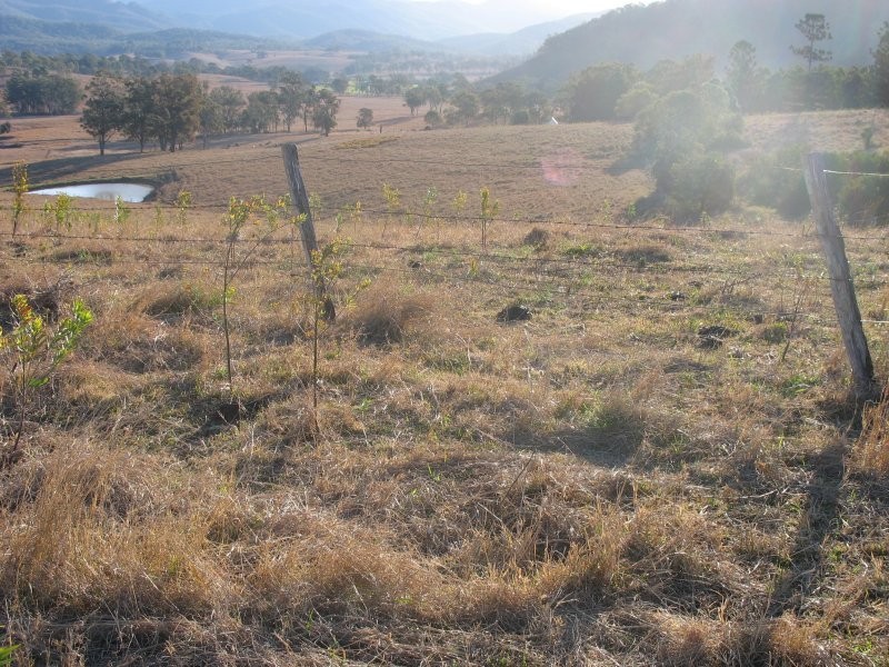 Barney View QLD 4287