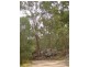 Tamborine QLD 4270