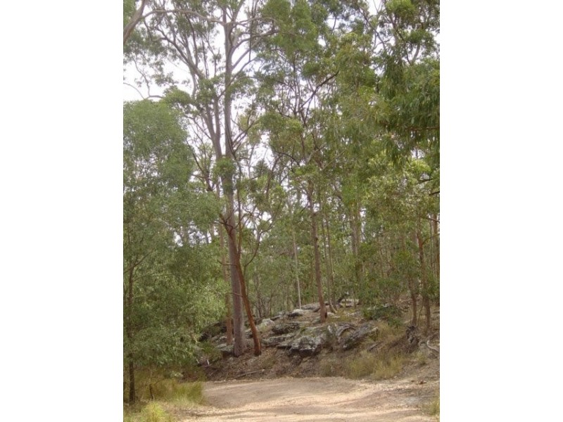 Tamborine QLD 4270