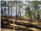 Tamborine QLD 4270