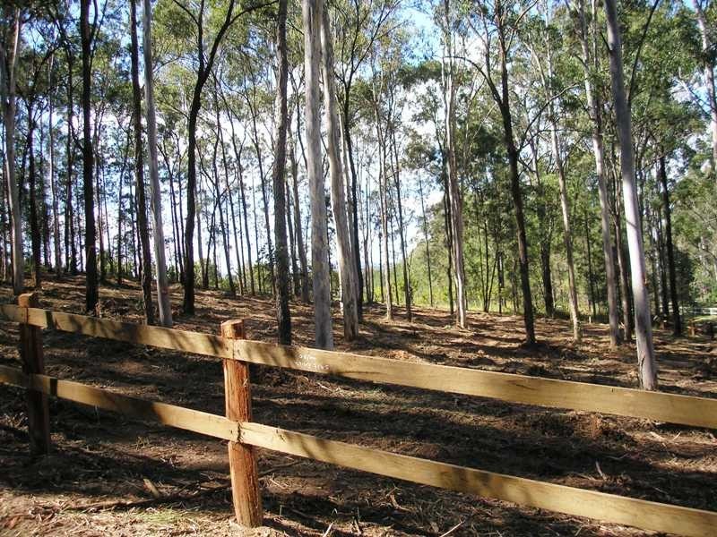 Tamborine QLD 4270