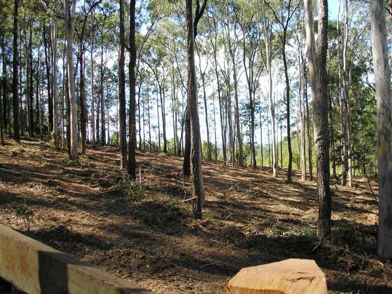 Tamborine QLD 4270