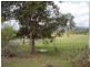 Tamborine QLD 4270