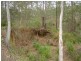 Tamborine QLD 4270