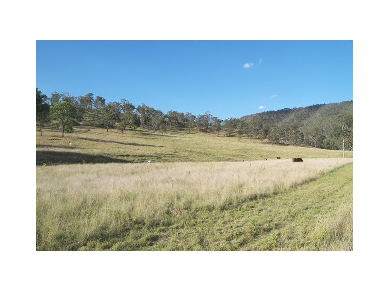 Christmas Creek QLD 4285