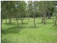 Tamborine QLD 4270