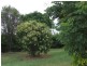 Veresdale QLD 4285
