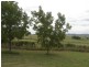 Boonah QLD 4310