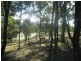 Kooralbyn QLD 4285