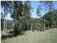 Veresdale Scrub QLD 4285