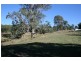 Kerry QLD 4285