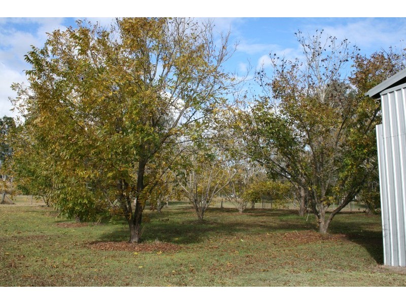 8162 MT LINDESAY HWY, Josephville QLD 4285