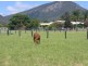 Boonah QLD 4310