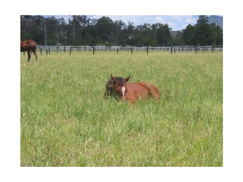 Boonah QLD 4310