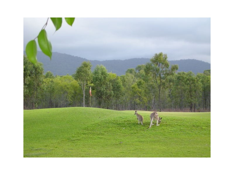 Balgal Beach QLD 4816