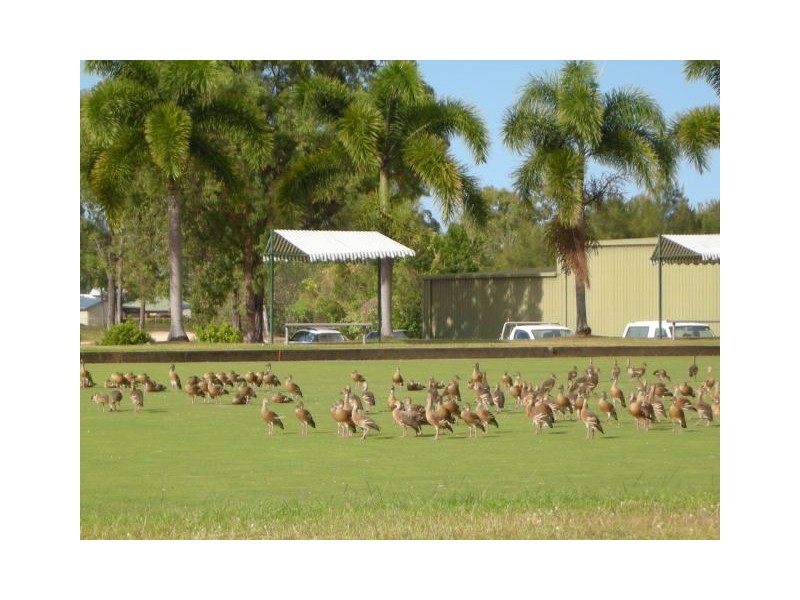 Balgal Beach QLD 4816