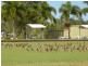 Balgal Beach QLD 4816