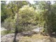 Tamborine QLD 4270