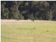 Darlington QLD 4285