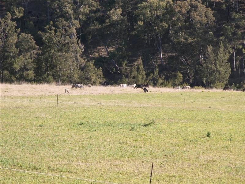 Darlington QLD 4285