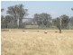 Boonah QLD 4310