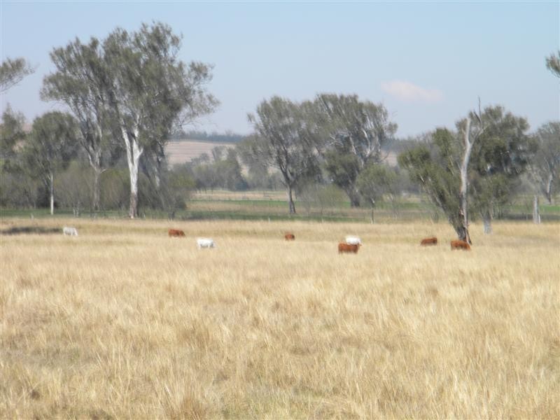 Boonah QLD 4310