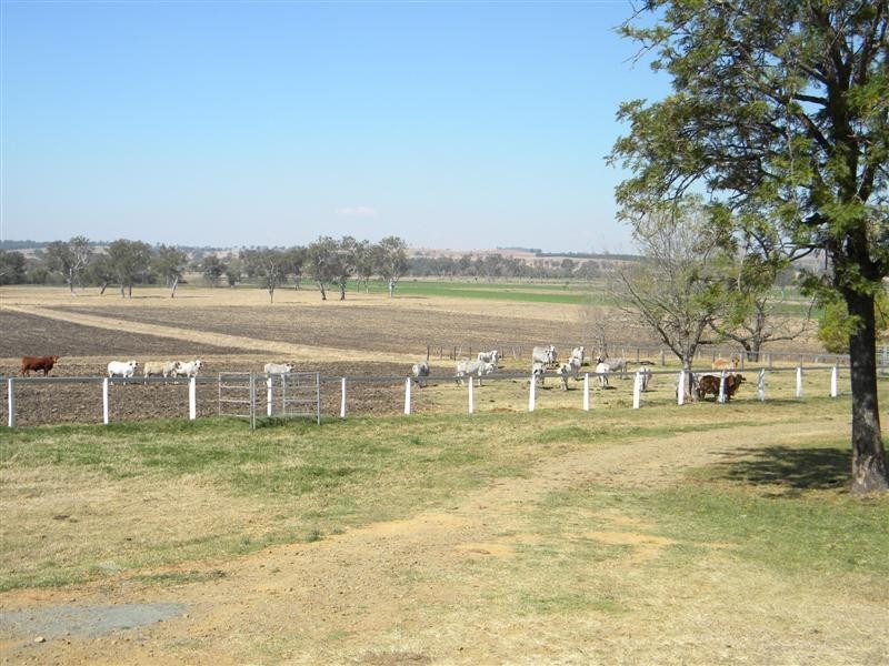 Boonah QLD 4310