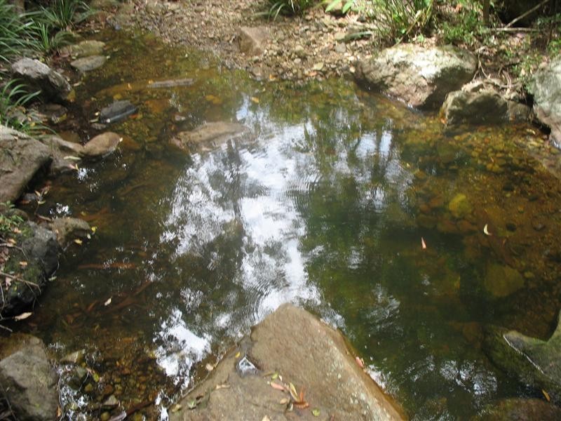 Palen Creek QLD 4287